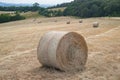 Hay roll field meadow summer grass Royalty Free Stock Photo