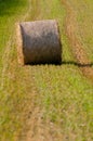 Hay roll on field Royalty Free Stock Photo