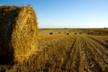 Hay roll on the field Royalty Free Stock Photo