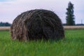 The hay roll stands uncollected in a green meadow