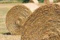 Hay rollers on the field in summertime Royalty Free Stock Photo