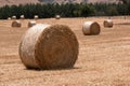 Hay Rolls