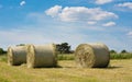 Hay Rolls, Agriculture, Germany