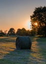 Hay Rolls, Agriculture, Germany