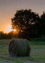 Hay Rolls, Agriculture, Germany