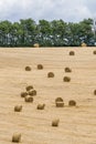 Hay Rolls on Field