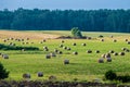 hay rolls in a field meadow