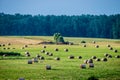 hay rolls in a field meadow