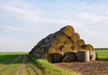 Hay in rolls on the field is stored in the open. Harvesting dry grass for agriculture or farmer. Ecological fuel in straw Royalty Free Stock Photo