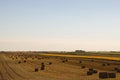 Hay rolls on the field Royalty Free Stock Photo