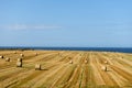 Hay Rolls in fields after harvest