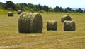 Hay Rolls at Harvest Royalty Free Stock Photo