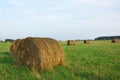 Hay. Rolls of hay are lying on the field Royalty Free Stock Photo