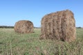 Hay rolls lying on a sloping fieldin the fall Royalty Free Stock Photo