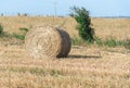 Hay rolls in small rural production fields in Brazil