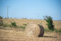 Hay rolls in small rural production fields in Brazil