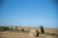 Hay rolls in small rural production fields in Brazil