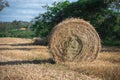 Hay rolls in small rural production fields in Brazil