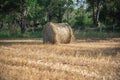 Hay rolls in small rural production fields in Brazil