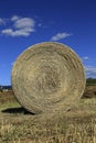 Hay Rolls Royalty Free Stock Photo