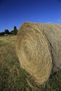 Hay Rolls Royalty Free Stock Photo