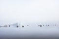 Hay rolls in water and morning fog