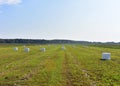 Hay in rolls in white packages stored on field on blue sky background. Harvesting dry grass for agriculture. Ecological fuel in Royalty Free Stock Photo