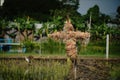 Hay scarecrow;hay-man Royalty Free Stock Photo