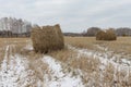 Hay sheaves on a snow-covered field Royalty Free Stock Photo