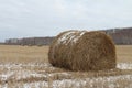 Hay sheaves on a snow-covered field Royalty Free Stock Photo