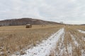 Hay sheaves on a snow-covered field Royalty Free Stock Photo