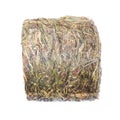 Hay in small cylinder isolated Royalty Free Stock Photo