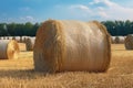 Hay stack agricultural summer. Generate Ai