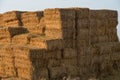 Hay stack bales Royalty Free Stock Photo