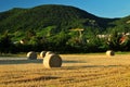 Hay Stack Ball on sunny day Royalty Free Stock Photo