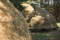 Hay stack on a field nearby a plum trees orchard Close-up of a single big haystack near green forest Royalty Free Stock Photo