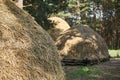 Hay stack on a field nearby a plum trees orchard Close-up of a single big haystack near green forest Royalty Free Stock Photo