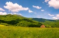 Hay stack on the grassy meadow in mountain Royalty Free Stock Photo