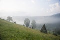 Hay stack on a green meadow in the mountains in the morning Royalty Free Stock Photo