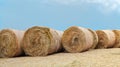 Hay stack rolls on ground, clear blue sky above Royalty Free Stock Photo