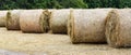 Hay stack rolls on the ground at the farm, blurred trees background Royalty Free Stock Photo