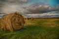 Hay stack in a summer field Royalty Free Stock Photo