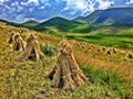 Haystacks on a Hill Side in Lesotho, Africa