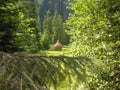 Hay stacked in a neat stack