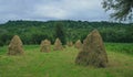 Hay stacks aerating on a wooden frame in a patch of green pasture. Curtea de Arges, Romania. Royalty Free Stock Photo