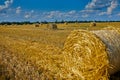 Hay, stacks bales with wheat, field after harvest with hay rolls Agriculture