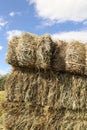 Hay Royalty Free Stock Photo