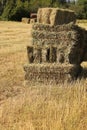 Hay Royalty Free Stock Photo