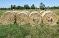Hay stacks Royalty Free Stock Photo