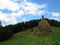 Hay Stock Piles on a Meadow with Green Grass, Forrest and Cloudy Sky in Background Royalty Free Stock Photo